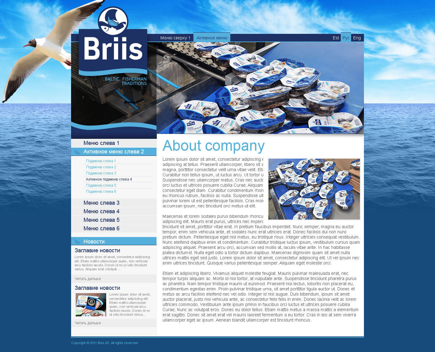 Briis AS